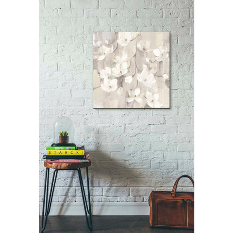 Image of 'Magnolias in Spring II Neutral' by Albena Hristova, Canvas Wall Art,26 x 26