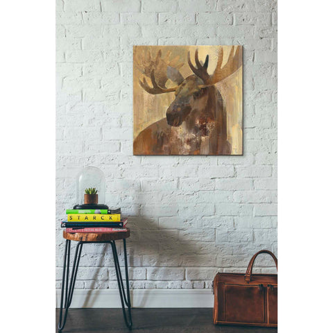 Image of 'Into the Wild II' by Albena Hristova, Canvas Wall Art,26 x 26