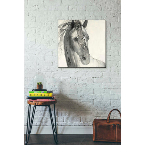 Image of 'In the Wind I' by Albena Hristova, Canvas Wall Art,26 x 26