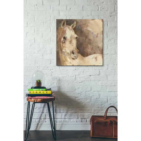 Image of 'Jasmine' by Albena Hristova, Canvas Wall Art,26 x 26