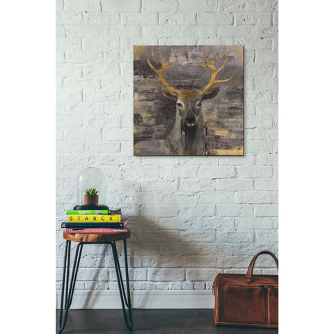 Image of 'The Leader Gold' by Albena Hristova, Canvas Wall Art,26 x 26