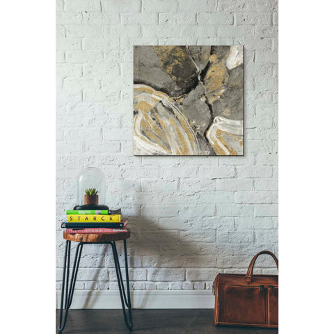 Image of 'Phoenix Neutral' by Albena Hristova, Canvas Wall Art,26 x 26