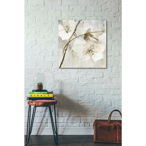 Image of 'Elegance II Greige' by Albena Hristova, Canvas Wall Art,26 x 26