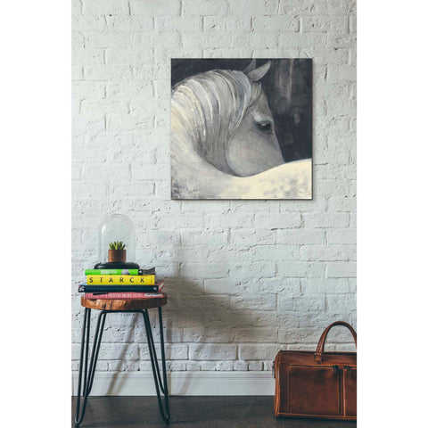 Image of 'Bijou' by Albena Hristova, Canvas Wall Art,26 x 26