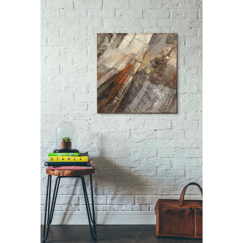 Image of 'Fire and Ice' by Albena Hristova, Canvas Wall Art,26 x 26