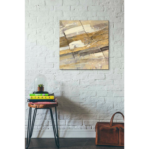 Image of 'Gold Streak' by Albena Hristova, Canvas Wall Art,26 x 26