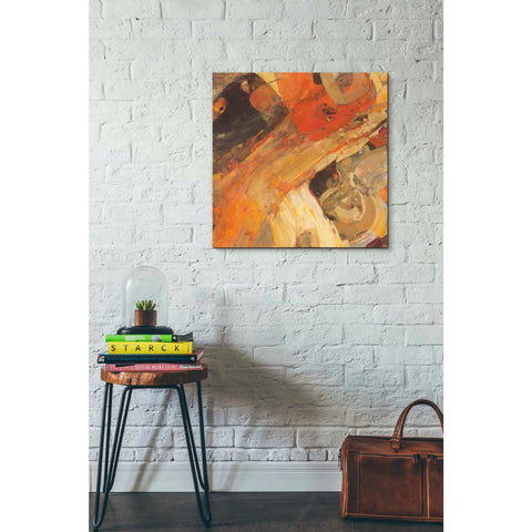 Image of 'Moab' by Albena Hristova, Canvas Wall Art,26 x 26