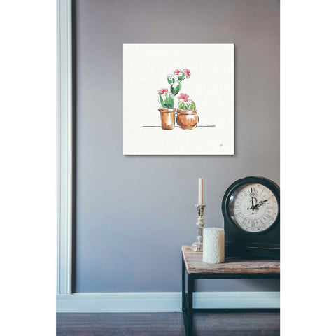 Image of 'Desert Bloom VII' by Daphne Brissonet, Canvas Wall Art,26 x 26