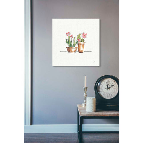 Image of 'Desert Bloom VI' by Daphne Brissonet, Canvas Wall Art,26 x 26