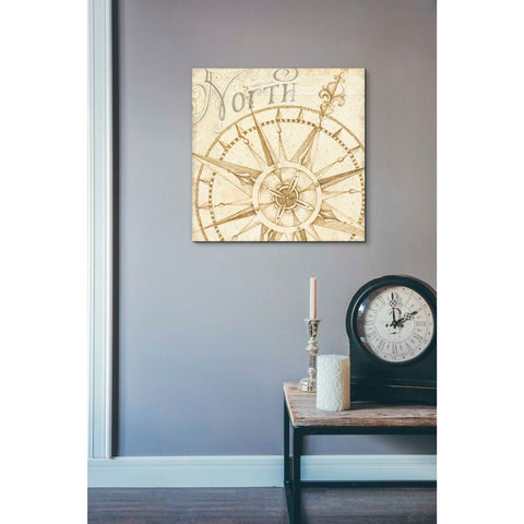 Image of 'Coast to Coast Sepia I' by Daphne Brissonet, Canvas Wall Art,26 x 26
