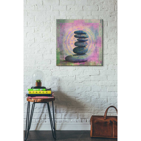 Image of 'Soul In Balance' by Elena Ray Canvas Wall Art,26 x 26