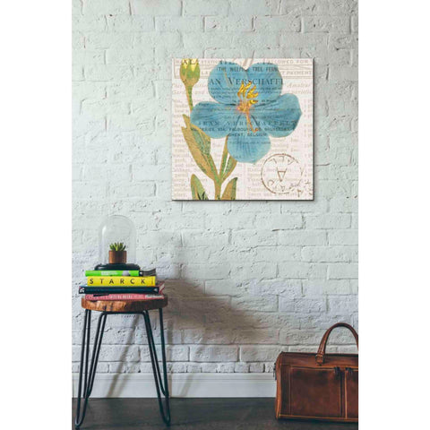 Image of 'Bookshelf Botanical VI' by Katie Pertiet, Canvas Wall Art,26 x 26