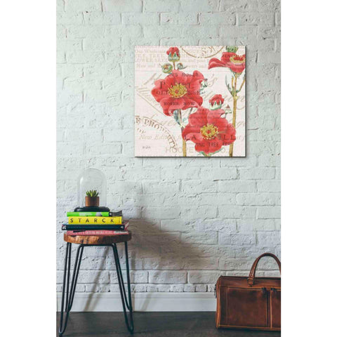 Image of 'Bookshelf Botanical V' by Katie Pertiet, Canvas Wall Art,26 x 26