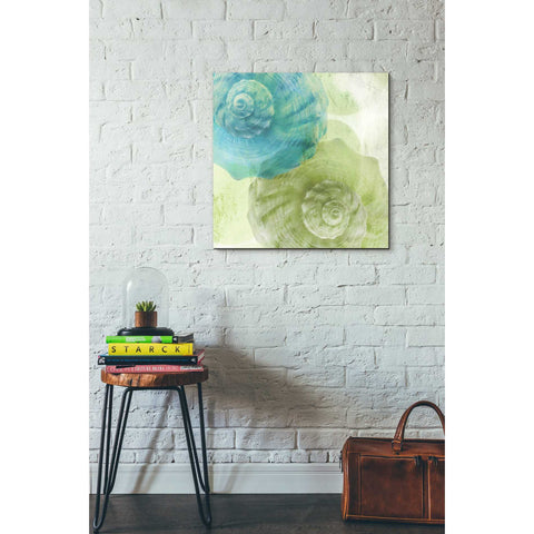 Image of 'Luminous Seashells 3' by Elena Ray Canvas Wall Art,26 x 26