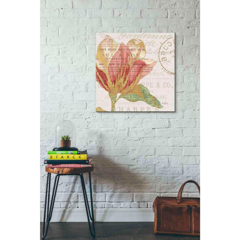 Image of 'Bookshelf Botanical III' by Katie Pertiet, Canvas Wall Art,26 x 26