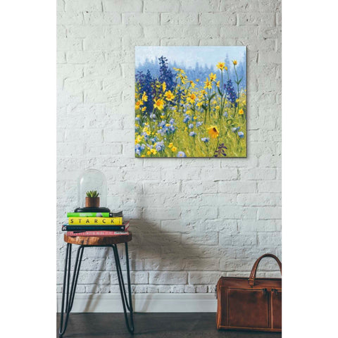 Image of 'Joyful in July III' by Shirley Novak, Canvas Wall Art,26 x 26