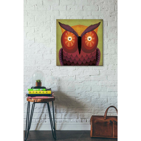 Image of 'Owl Wow' by Ryan Fowler, Canvas Wall Art,26 x 26