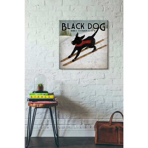 Image of 'Black Dog Ski' by Ryan Fowler, Canvas Wall Art,26 x 26