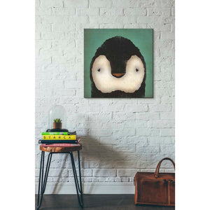 'Baby Penguin' by Ryan Fowler, Canvas Wall Art,26 x 26