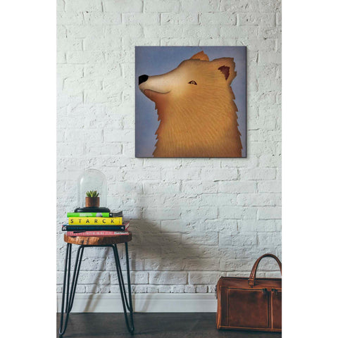 Image of 'Brown Bear Wow' by Ryan Fowler, Canvas Wall Art,26 x 26