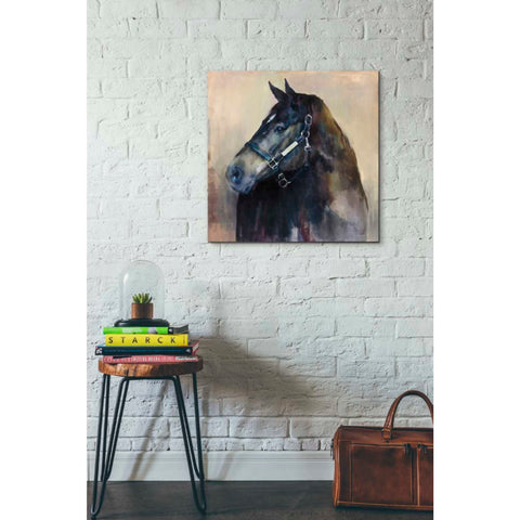 Image of 'Ritzy Light' by Marilyn Hageman, Canvas Wall Art,26 x 26