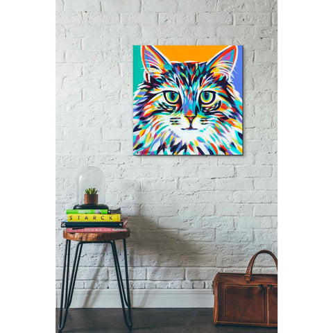 Image of 'Dramatic Cats I' by Carolee Vitaletti Giclee Canvas Wall Art