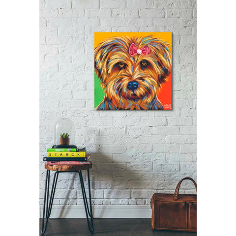 Image of 'Sweet Yorkie I' by Carolee Vitaletti Giclee Canvas Wall Art