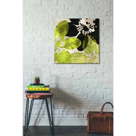 Image of 'Bloomer Tiles VI' by James Burghardt Giclee Canvas Wall Art