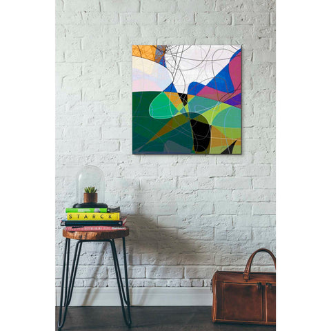 Image of 'Entangled I' by James Burghardt Giclee Canvas Wall Art