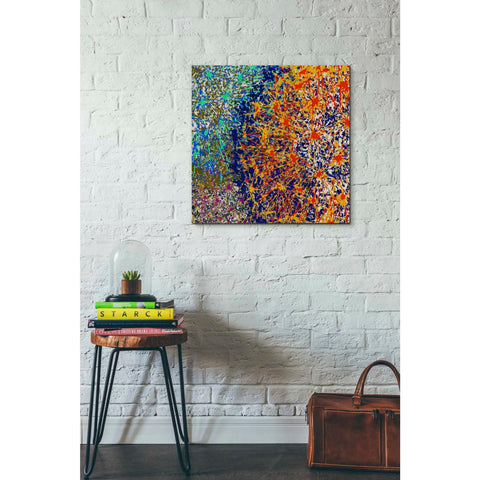 Image of 'Profusion I' by James Burghardt Giclee Canvas Wall Art