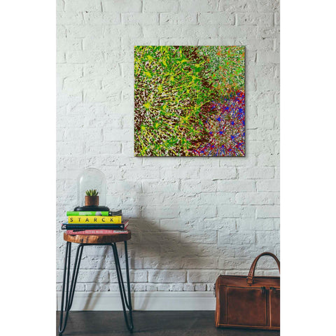 Image of 'Profusion II' by James Burghardt Giclee Canvas Wall Art