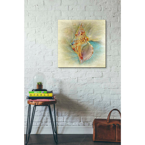 Image of 'Aquatica I' by Steve Hunziker Giclee Canvas Wall Art