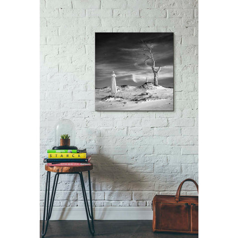 Image of 'Daydream' by Dariusz Klimczak, Giclee Canvas Wall Art