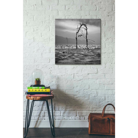 Image of 'Eagle' by Dariusz Klimczak, Giclee Canvas Wall Art