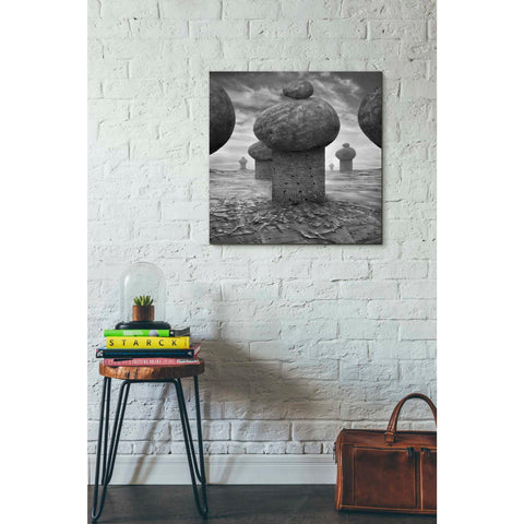 Image of 'Memory' by Dariusz Klimczak, Giclee Canvas Wall Art