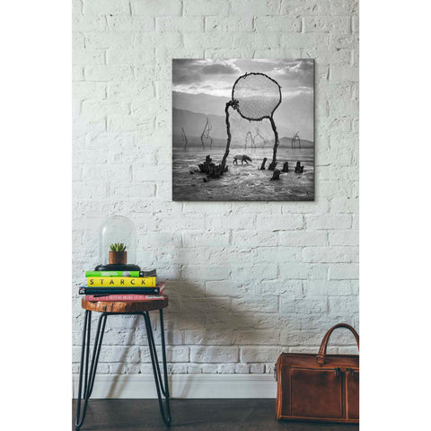 Image of 'Tapir' by Dariusz Klimczak, Giclee Canvas Wall Art