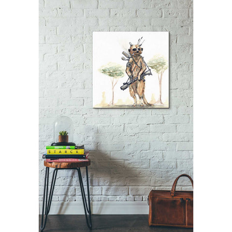 Image of 'Meerkat' by Craig Snodgrass, Canvas Wall Art,26 x 26