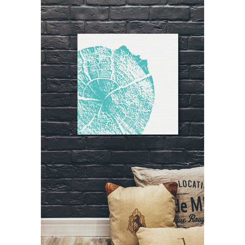 Image of 'Aqua Slice' by Linda Woods, Canvas Wall Art,26 x 26