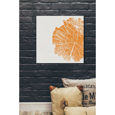 Image of 'Orange Slice' by Linda Woods, Canvas Wall Art,26 x 26