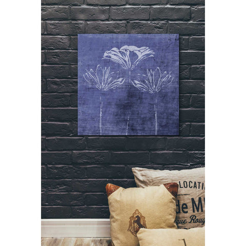 Image of 'Indigo Wild Flowers' by Linda Woods, Canvas Wall Art,26 x 26