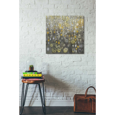 Image of 'Rain Abstract V' by Danhui Nai, Canvas Wall Art,26 x 26