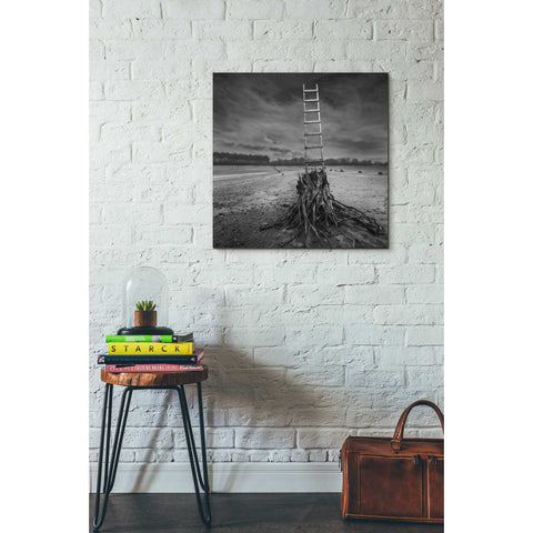 Image of 'Jacob's Ladder' by Dariusz Klimczak, Canvas Wall Art,26 x 26