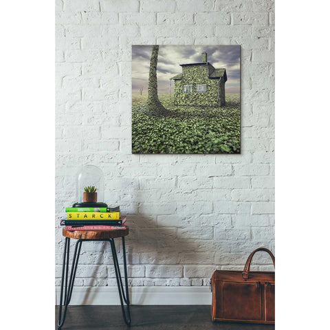 Image of 'House of Leaves' by Dariusz Klimczak, Canvas Wall Art,26 x 26