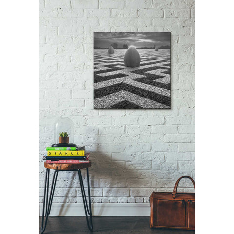 Image of 'Ptasi Labirynt' by Dariusz Klimczak, Canvas Wall Art,26 x 26