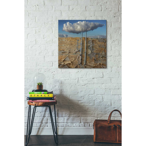 Image of 'Susza' by Dariusz Klimczak, Canvas Wall Art,26 x 26