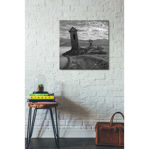 Image of 'Displaced' by Dariusz Klimczak, Canvas Wall Art,26 x 26