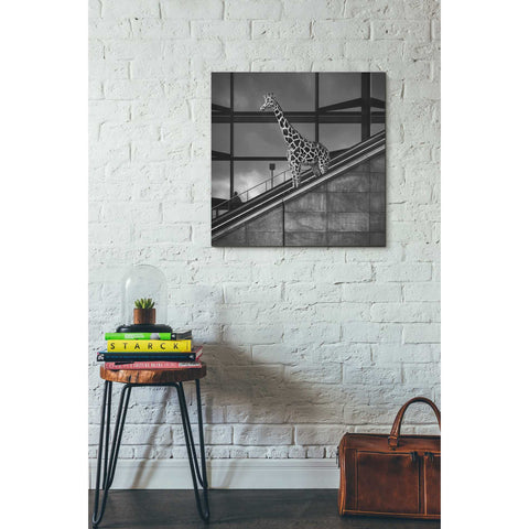 Image of 'Downstairs' by Dariusz Klimczak, Canvas Wall Art,26 x 26