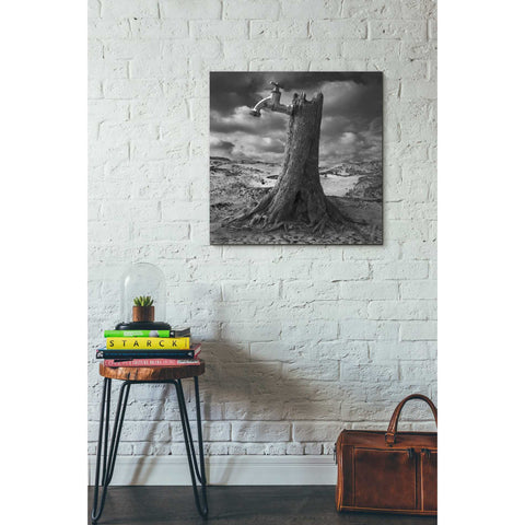 Image of 'Dry' by Dariusz Klimczak, Canvas Wall Art,26 x 26