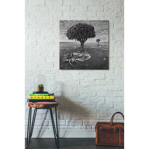 Image of 'Trees' by Dariusz Klimczak, Canvas Wall Art,26 x 26