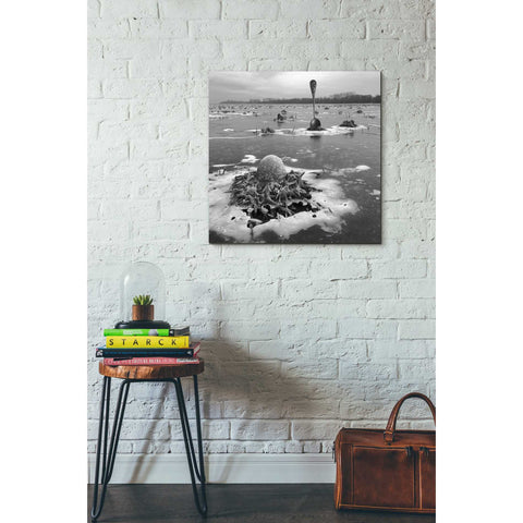 Image of 'Frozen Breakfast' by Dariusz Klimczak, Canvas Wall Art,26 x 26